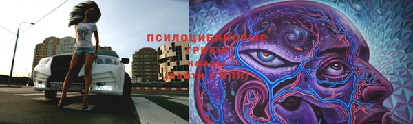 2c-b Инта