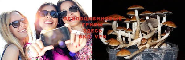 прущая мука Инсар