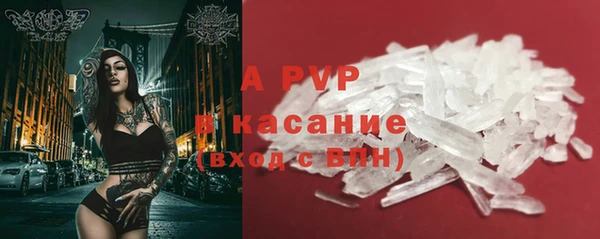 2c-b Инта