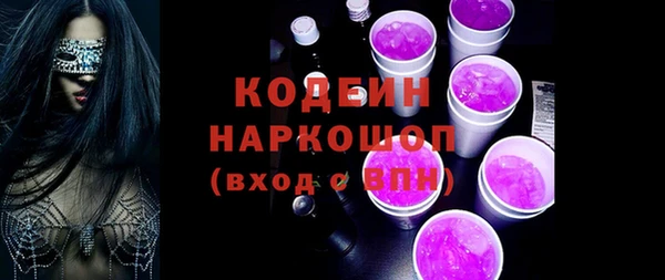 2c-b Инта