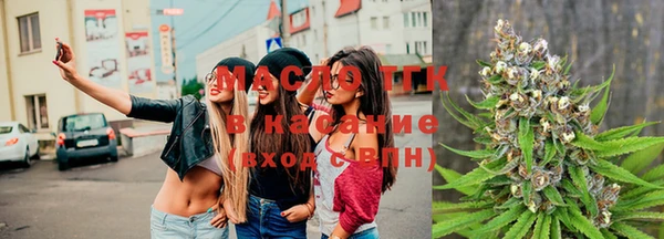 2c-b Инта